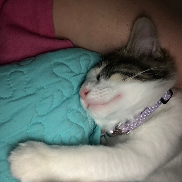 Meet your Posher, Kim - Picture 15 of 16